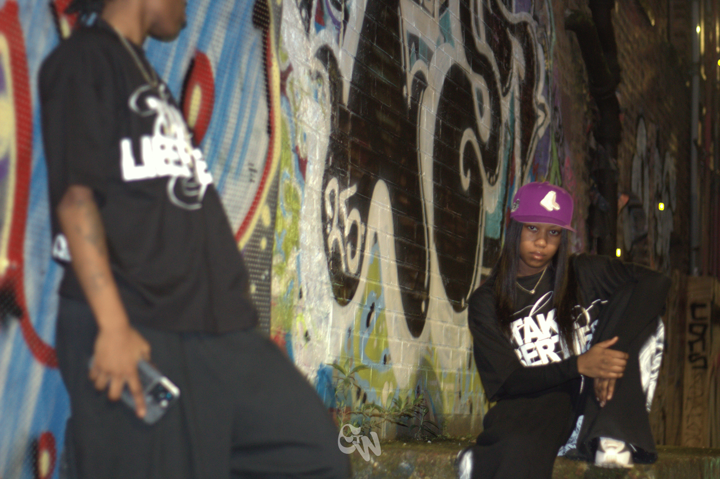 takeliberties tee